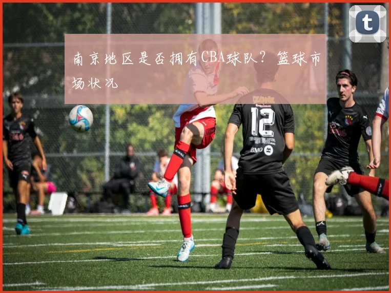 南京地区是否拥有CBA球队？篮球市场状况