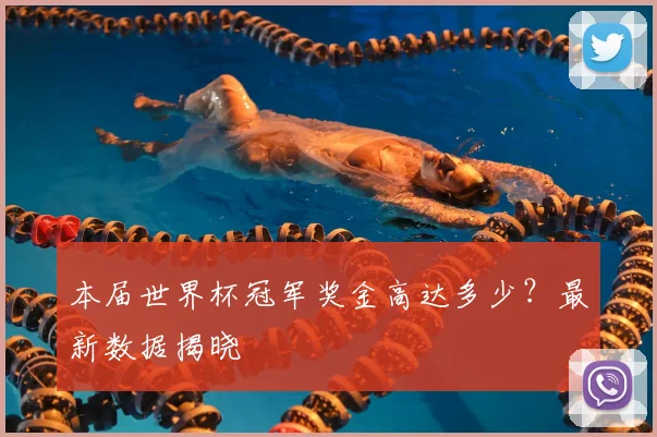 本届世界杯冠军奖金高达多少？最新数据揭晓