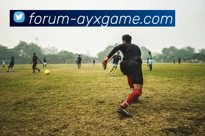 爱游戏平台生态图